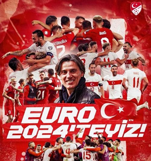 欧洲杯威尔士2-0土耳其小说